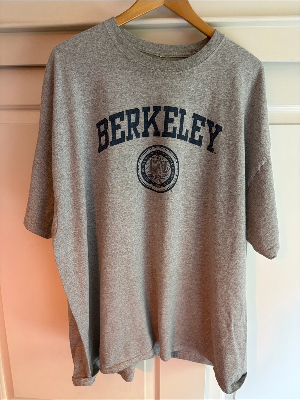 Gray Berkeley Graphic Short Sleeve Tee